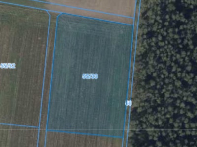 Działka | Nieszawa dz. 55/33 | 1,0582 ha