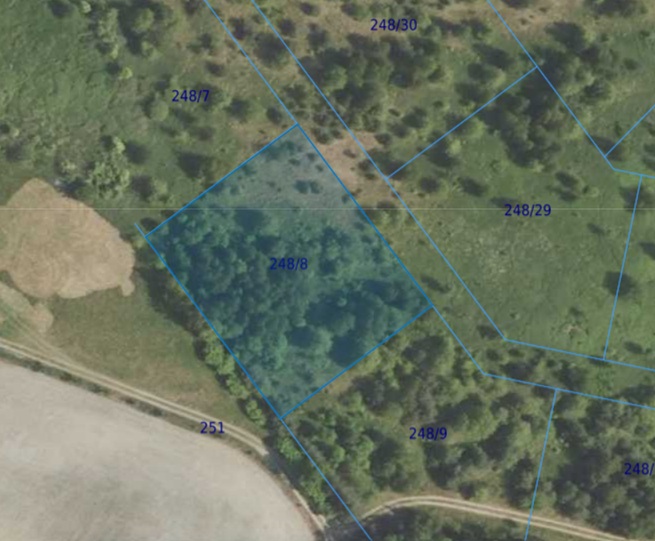 Działka| Dąbrowa dz 248/8 | 0,3209 ha