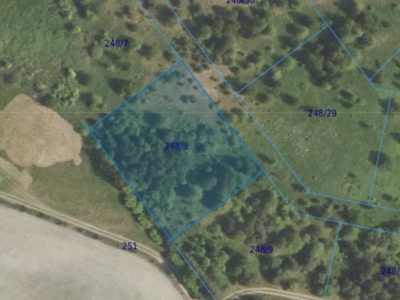 Działka| Dąbrowa dz 248/8 | 0,3209 ha