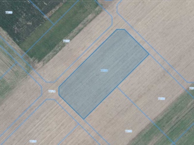 Działka | Łagiewniki dz. 77/58 | 0,3062 ha