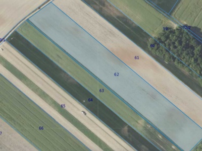 Działka | Prawocice dz. 62 | 2,4900 ha