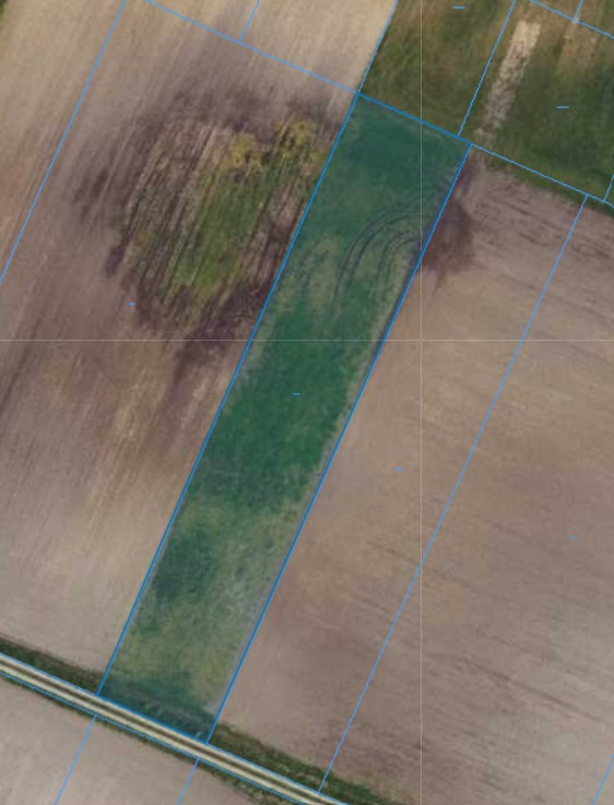 Działka | NIWA SKRZESZÓW dz.188 | 0,2980 ha (KOPIA)