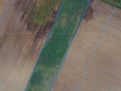 Działka | NIWA SKRZESZÓW dz.188 | 0,2980 ha (KOPIA)
