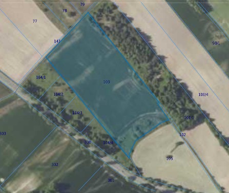 Działka | Łuczyna dz. 103 | 3,27 ha