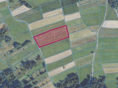 Działka | Bieńkówka dz. 5428 | 0,4221 ha