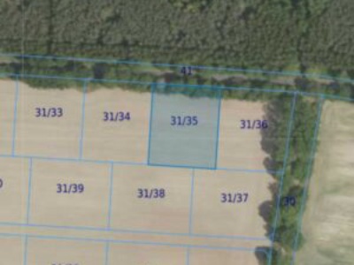 Działka| Grabowno Wielkie dz 31/35 | 0,3000 ha