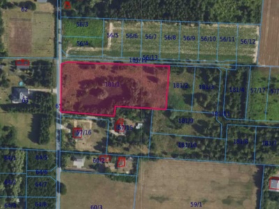 Działka| Cholewy dz 181/1 |  0,9190 ha