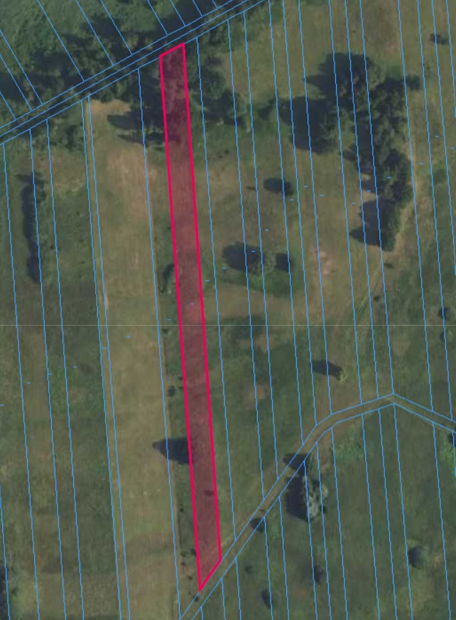 Działka | OLSZEWNICA NOWA dz. 245 | 0,4252 ha