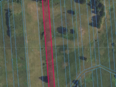 Działka | OLSZEWNICA NOWA dz. 245 | 0,4252 ha