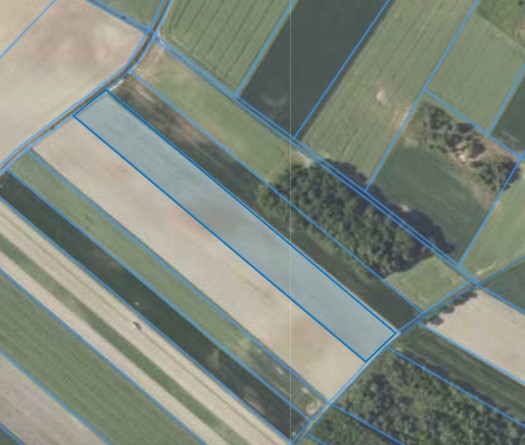 Działka | Prawocice dz. 61 | 1,7900 ha