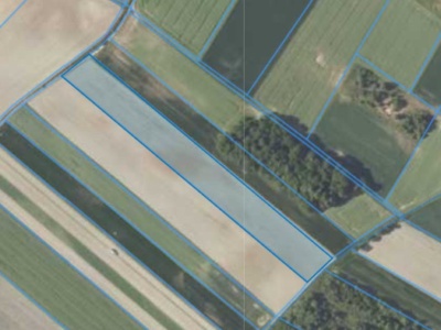 Działka | Prawocice dz. 61 | 1,7900 ha