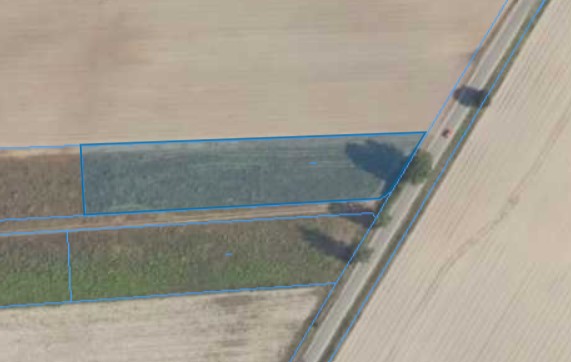 Działka | WYGODA  SMOSZEWSKA dz. 132/3 | 0,3863 ha