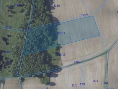 Działka| Chwałowice dz 313/12 | 1,4172 ha