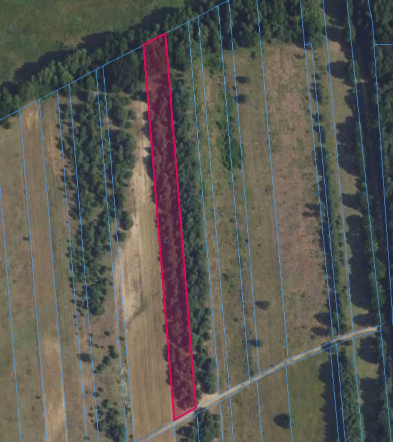 Działka | OLSZEWNICA NOWA dz. 347 | 0,6259 ha