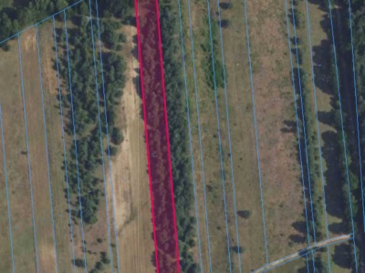 Działka | OLSZEWNICA NOWA dz. 347 | 0,6259 ha