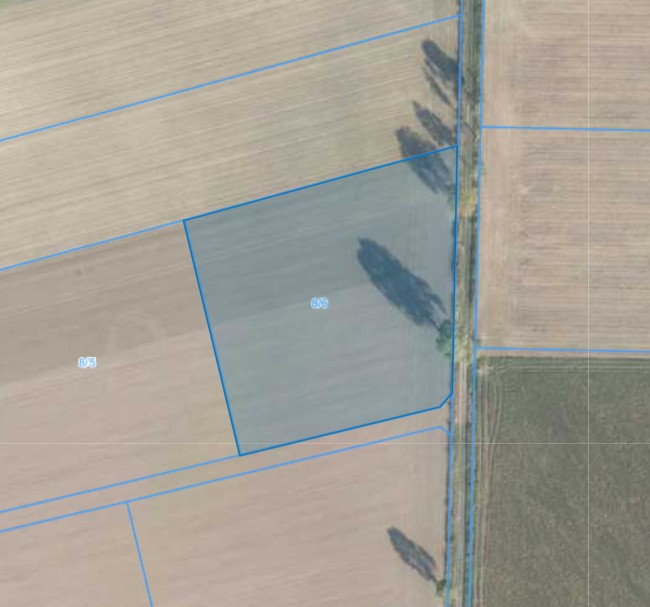 Działka | Luciny dz. 8/6 | 1,1016 ha