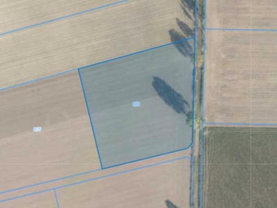 Działka | Luciny dz. 8/6 | 1,1016 ha