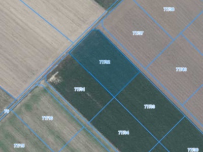 Działka | Łagiewniki dz. 77/32 | 0,3028 ha