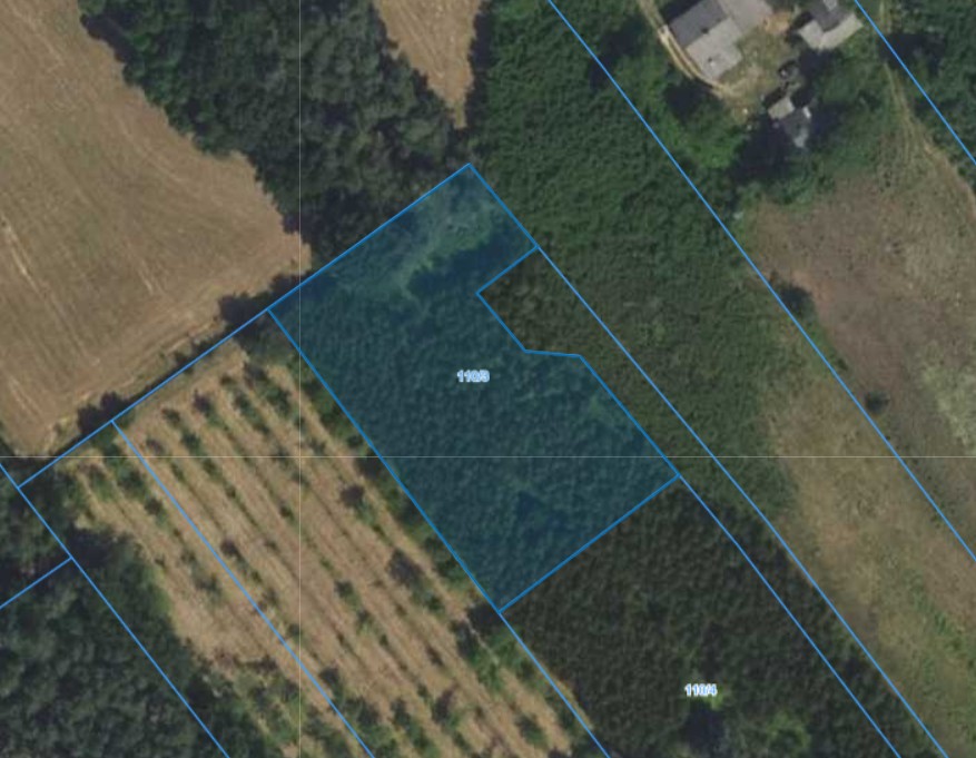 Działka | Osuchów dz. 110/3 | 0,3005 ha