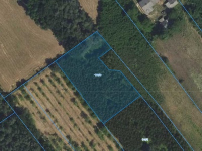 Działka | Osuchów dz. 110/3 | 0,3005 ha