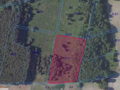Działka| Chwałowice dz 319/5 | 1,2532 ha