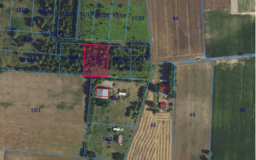 Działka | Cholewy dz. 181/7 | 0,1967 ha