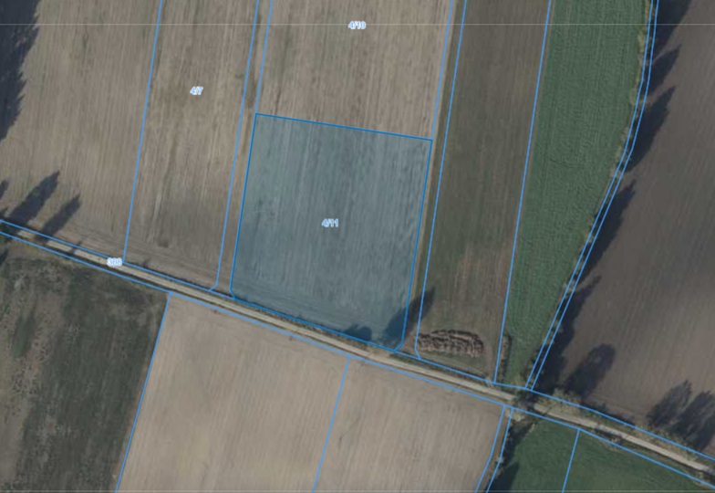 Działka | Bliżyce dz 4/11 | 1,2039 ha