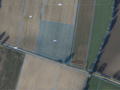 Działka | Bliżyce dz 4/11 | 1,2039 ha