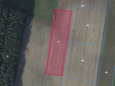 Działka | Bliżyce dz. 4/6 | 1,2003 ha