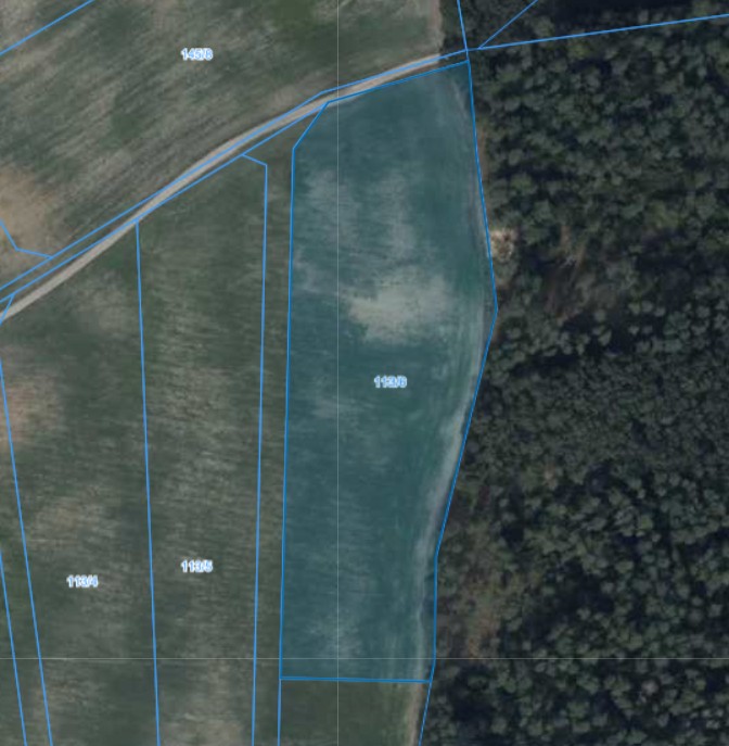 Działka | Pacholewo dz. 113/6 | 1,5937 ha