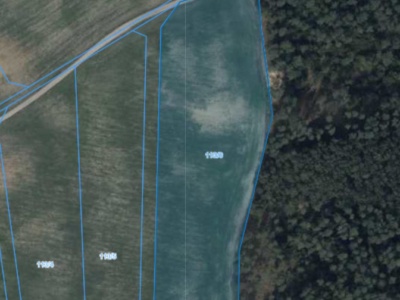 Działka | Pacholewo dz. 113/6 | 1,5937 ha