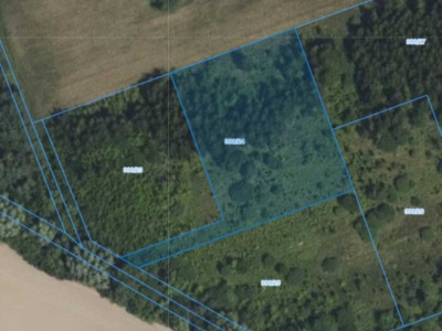 Działka | KORABIEWICE dz. 399/24 | 0,3540 ha