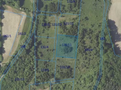 Działka| CIELĘTNIKI dz 131/11 | 0,3000 ha