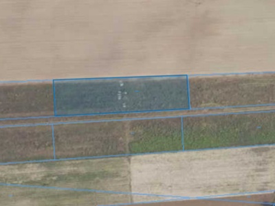 Działka | WYGODA  SMOSZEWSKA dz. 132/2 | 0,3600 ha