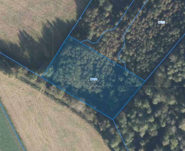 Działka | Nietrzanowo dz. 176/4 | 0,3004 ha