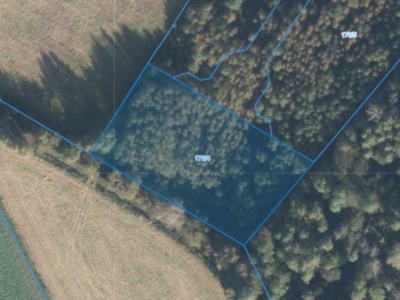 Działka | Nietrzanowo dz. 176/4 | 0,3004 ha