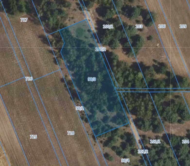 Działka | WOLA CYGOWSKA dz. 98/3 | 0,3000 ha