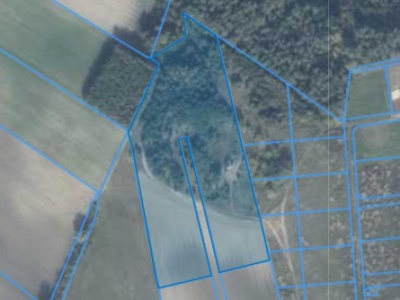 Działka | Lusówko dz. 403/2 | 3,1723 ha