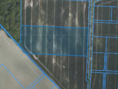 Działka | Żydowo dz. 52/8 | 2,4596 ha