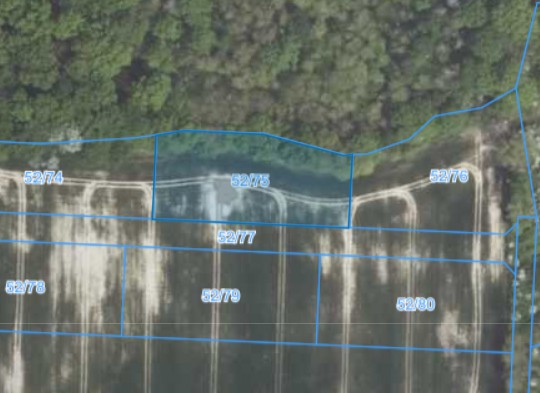 Działka | Żydowo dz. 52/75 | 0,6333 ha