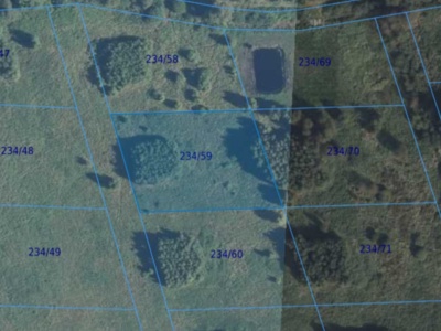 Działka | Dźwirzyno dz 234/59 | 0,2066 ha