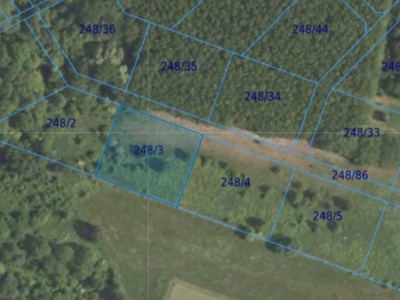 Działka| Dąbrowa dz 248/3 | 0,3125 ha