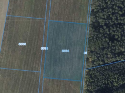 Działka | Nieszawa dz. 55/34 | 1,0582 ha