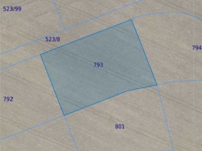 Działka | Miłoszyce dz. 793 | 0,3185 ha