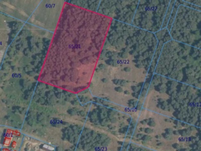 Działka | BISKUPICE dz. 65/21 | 1,0767 ha