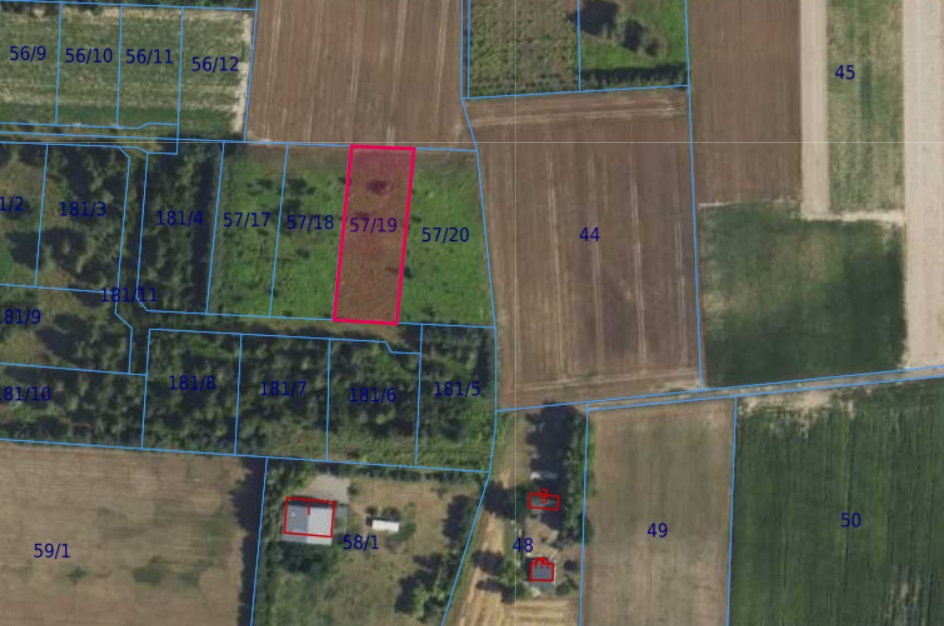 Działka | Cholewy dz. 57/19 | 0,1979 ha