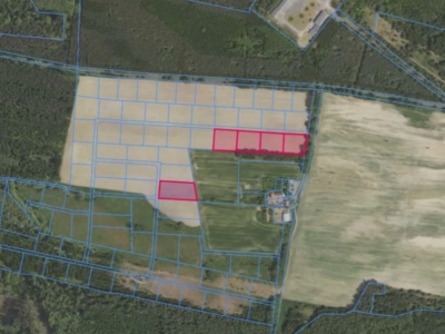 Grabowno Wielkie dz. 31/55, 31/56, 31/57, 31/58, 31/67