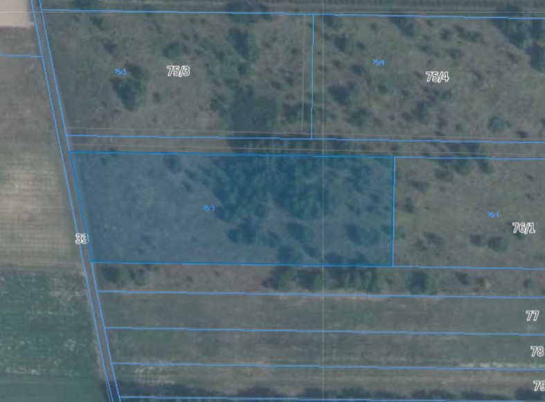 Działka | Koziegłowy dz. 76/3 | 0,3200 ha