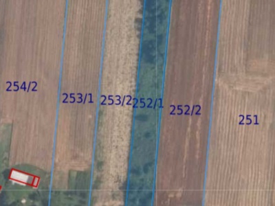Działka | TRZYCIĄŻ dz. 252/1 | 0,5339 ha