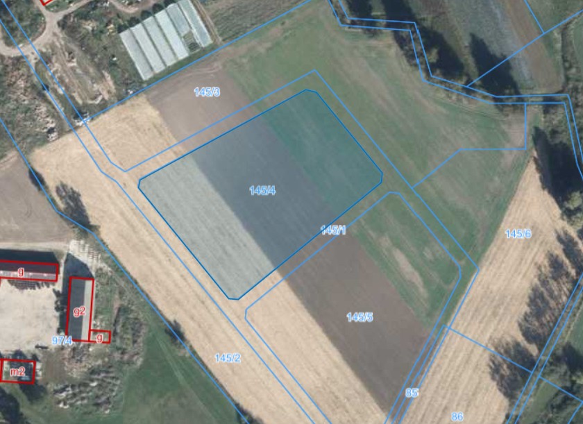 Działka | Podarzewo dz. 145/4 | 1,0099 ha